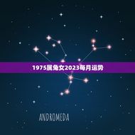 1975属兔女2023每月运势(兔女运势大盘点)