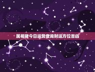 属相猪今日运势查询财运方位吉凶(如何把握财运方位)