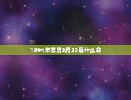1994年农历3月23是什么命(介绍你的命运之路)