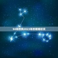 94年的狗2023年的婚姻状况(未婚还是已婚)