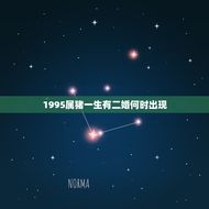 1995属猪一生有二婚何时出现(婚姻运势介绍)