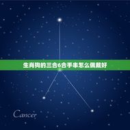 生肖狗的三合6合手串怎么佩戴好(让手串成为你的幸运)