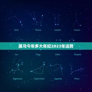 属马今年多大年纪2023年运势(马儿飞腾运势旺盛)