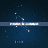 麦玲玲属鸡2023年运势及运程(介绍喜迎贵人事业顺风顺水)