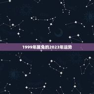 1999年属兔的2023年运势(兔子迎来好运)