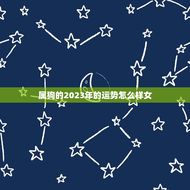 属狗的2023年的运势怎么样女(幸运之年财运亨通)