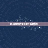 1985属牛的女孩取什么名字好(如何选择最适合的名字)