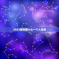 2023属狗要小心一个人生肖(警惕猪年出生的人)