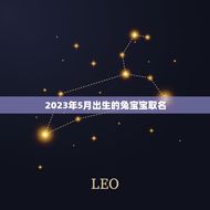 2023年5月出生的兔宝宝取名(创意灵感大介绍)
