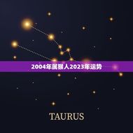 2004年属猴人2023年运势(猴年大展宏图财运亨通)