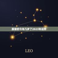 属猪的今年几岁了2023年运势(猪年好运延续财运亨通)