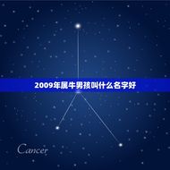 2009年属牛男孩叫什么名字好(如何选择适合的名字)