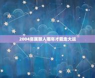 2004年属猴人哪年才能走大运(探寻属猴人的运势转机)