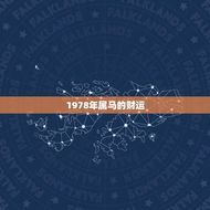 1978年属马的财运(展望财富将从何而来)