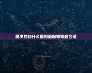 属虎的和什么属相最配婚姻最合适(如何选择配偶)