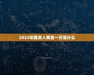 2023年属虎人两喜一灾是什么(介绍幸福与挑战并存)