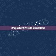 虎年运势2023年每月运程如何(详解23年12个月的运势走向)