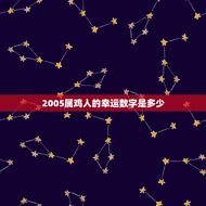 2005属鸡人的幸运数字是多少(介绍属鸡人的幸运数字)