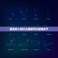 属龙的人和什么属相可以结婚生子(配对指南)