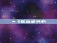 2001闰四月出生的男孩子好吗(介绍命运与个人努力的平衡)