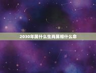 2030年属什么生肖属相什么命(十二生肖预测)