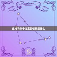 生肖马命中注定的情劫是什么(介绍生肖马的命运)