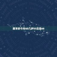 属羊的今年60几岁65还是66(如何确定你的生肖年龄)