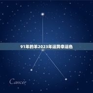 91年的羊2023年运势幸运色(预测未来把握机遇)