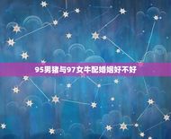 95男猪与97女牛配婚姻好不好(星座配对分析)