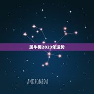 属牛男2023年运势(顺风顺水财运亨通)