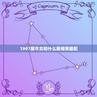 1997属牛女和什么属相男最配(匹配的星座组合)