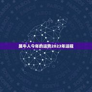 属牛人今年的运势2023年运程(牛转乾坤财运亨通)