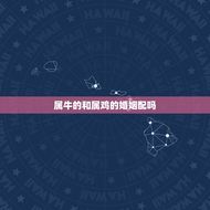 属牛的和属鸡的婚姻配吗(介绍属牛和属鸡的星座配对)