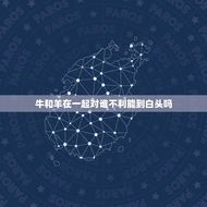 牛和羊在一起对谁不利能到白头吗(牛羊共处的危害与解决方法)