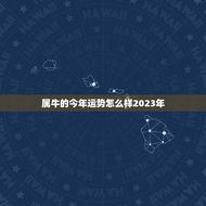 属牛的今年运势怎么样2023年(2023年属牛人的运势大介绍)