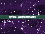 属牛在2023年的运势怎么样女(财运旺盛事业有成)