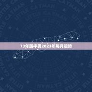 73年属牛男2023年每月运势(详解顺风顺水还是波折不断)