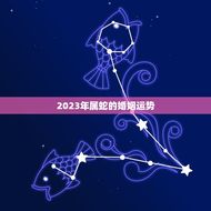 2023年属蛇的婚姻运势(顺畅还是波折)