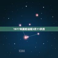 1977年属蛇运程3月11农历(蛇年好运连连财富旺盛事业有成)