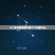 十二生肖夫妻配对表六八年属什么(六八年出生的人配对)