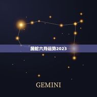 属蛇六月运势2023(未来机遇把握时机成功)