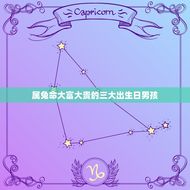 属兔命大富大贵的三大出生日男孩(谁是最成功的)