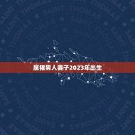 属猪男子2023年出生(匹配星座、性格、命运)