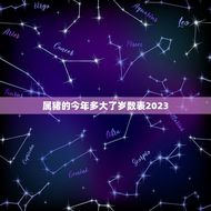 属猪的今年多大了岁数表2023(详解猪年出生的人如何计算年龄)