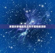 家里好多老鼠怎么办才能彻底清除(鼠患严重快速有效的灭鼠方法)