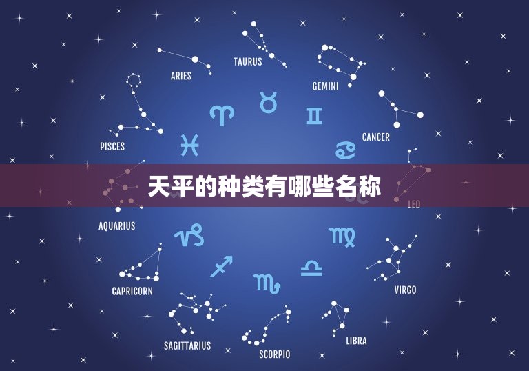 天平的种类有哪些名称(了解不同类型的天平)