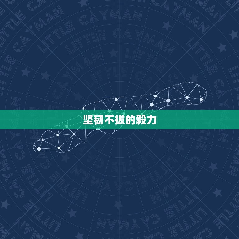 商界大佬都是什么性格(介绍成功人士的共同特质)