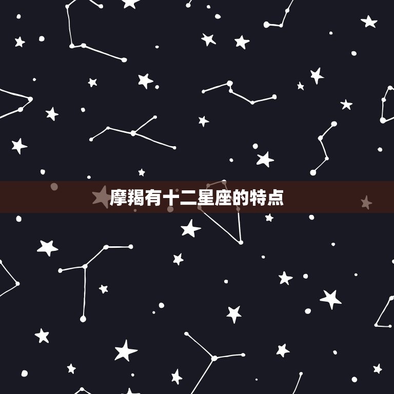 摩羯有十二星座的特点(探秘星座性格分析)