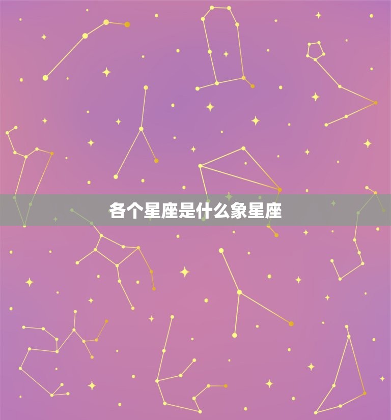 各个星座是什么象星座(探秘星座之间的神秘联系)