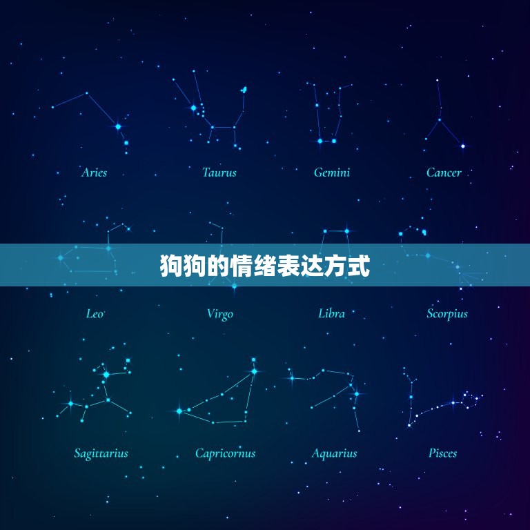 狗不搭理人是生气了吗(介绍狗狗的情绪世界)